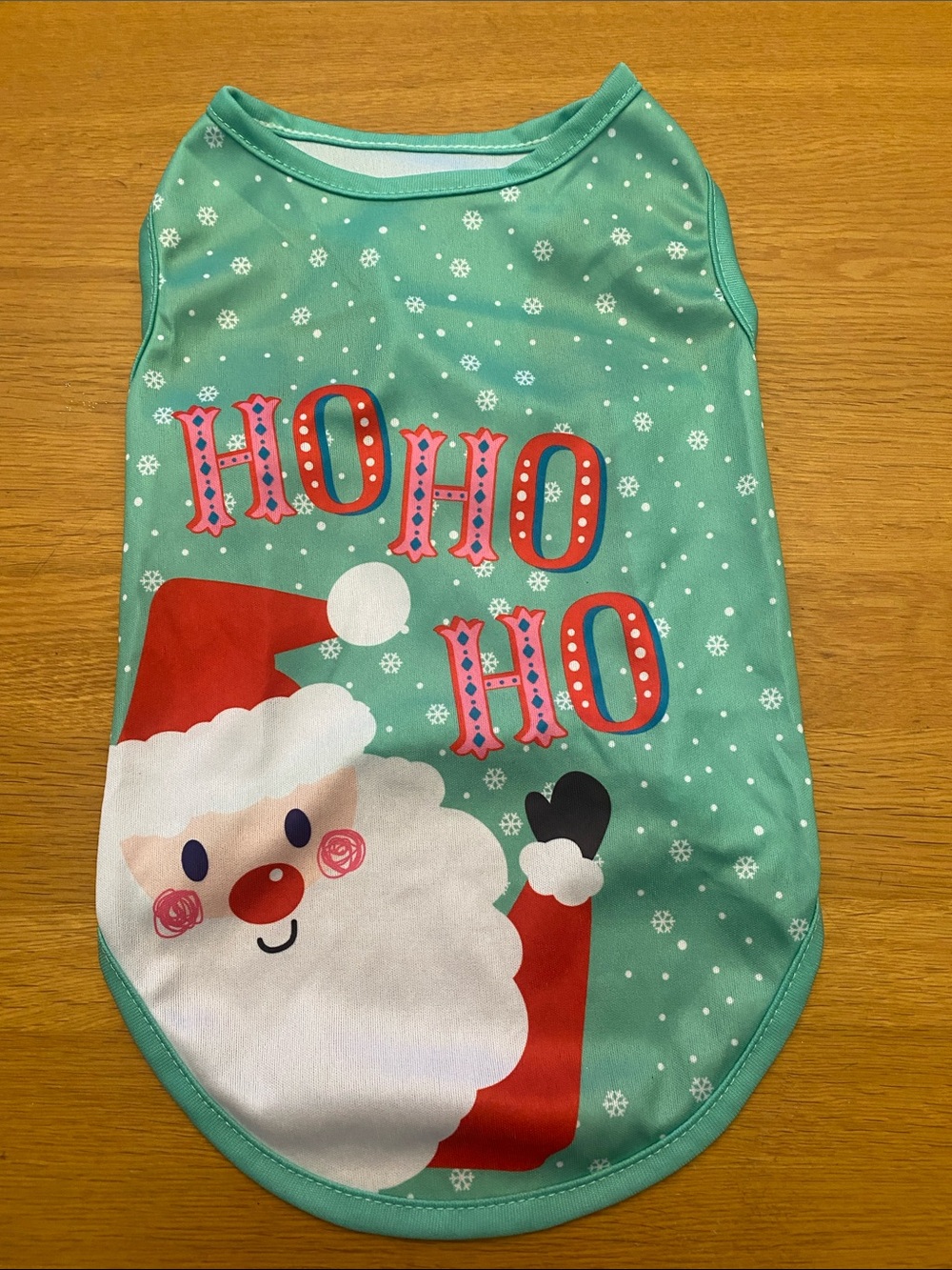 Holiday Santa Dog Tee in Teal
